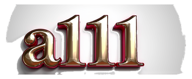 a111 logo